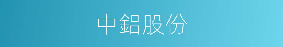 中鋁股份的同義詞