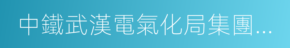 中鐵武漢電氣化局集團有限公司的同義詞