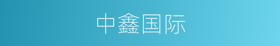 中鑫国际的同义词