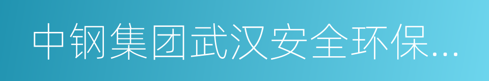 中钢集团武汉安全环保研究院的同义词