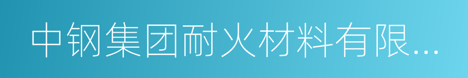 中钢集团耐火材料有限公司的同义词