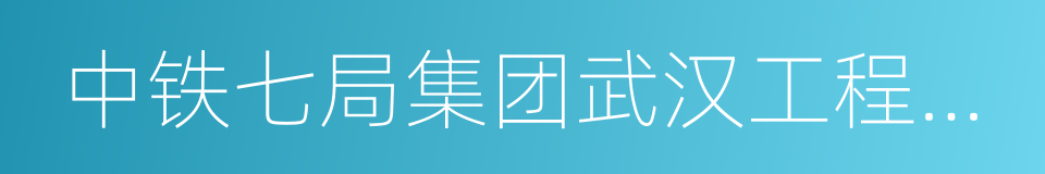 中铁七局集团武汉工程有限公司的同义词