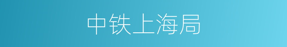中铁上海局的同义词