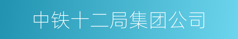 中铁十二局集团公司的同义词