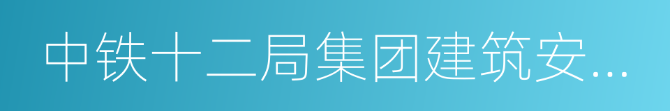 中铁十二局集团建筑安装工程有限公司的同义词