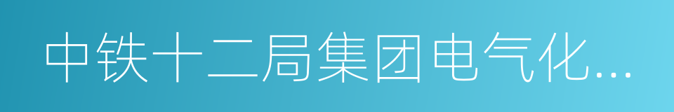 中铁十二局集团电气化工程有限公司的同义词