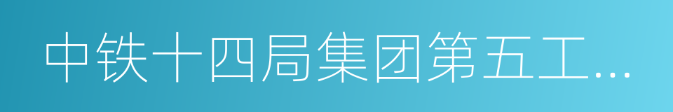 中铁十四局集团第五工程有限公司的同义词