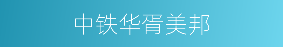 中铁华胥美邦的同义词