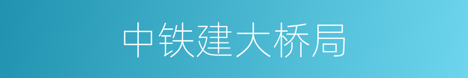 中铁建大桥局的同义词