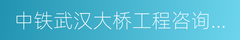 中铁武汉大桥工程咨询监理有限公司的同义词