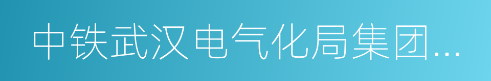 中铁武汉电气化局集团有限公司的同义词