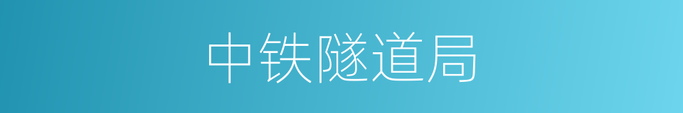 中铁隧道局的同义词