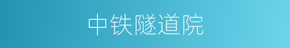 中铁隧道院的同义词
