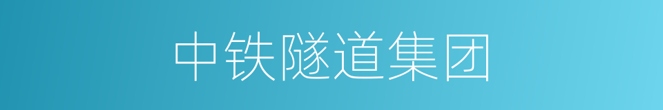 中铁隧道集团的同义词