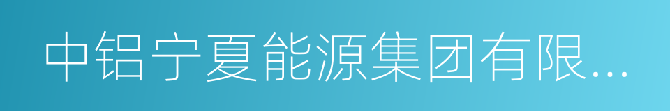 中铝宁夏能源集团有限公司的同义词