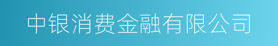 中银消费金融有限公司的同义词
