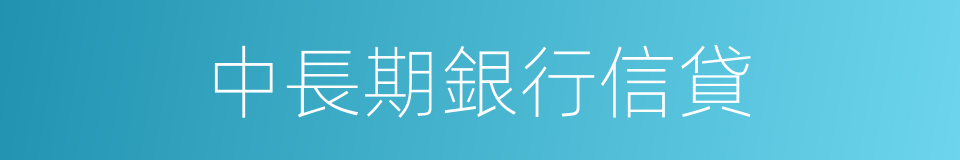 中長期銀行信貸的同義詞