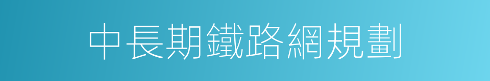 中長期鐵路網規劃的同義詞