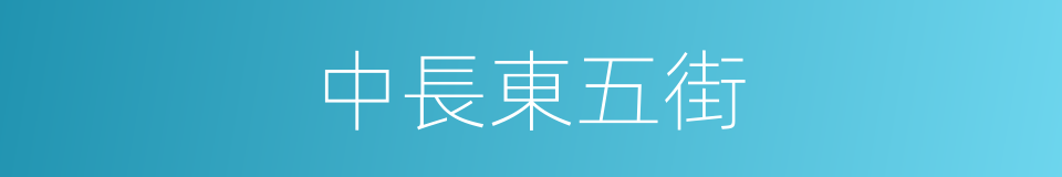 中長東五街的同義詞