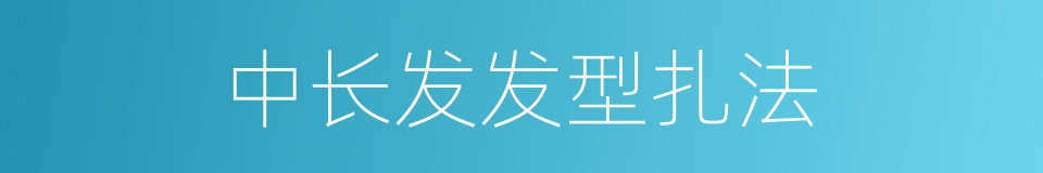 中长发发型扎法的同义词