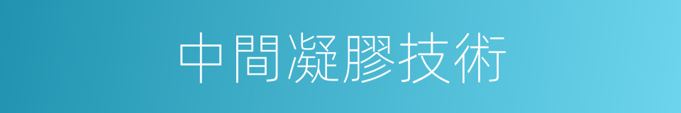 中間凝膠技術的同義詞
