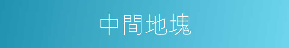中間地塊的同義詞