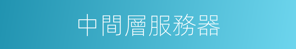 中間層服務器的同義詞
