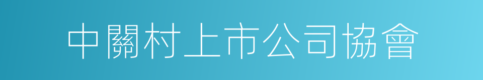 中關村上市公司協會的同義詞