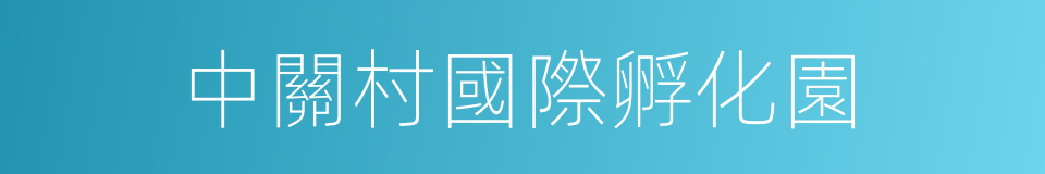 中關村國際孵化園的同義詞