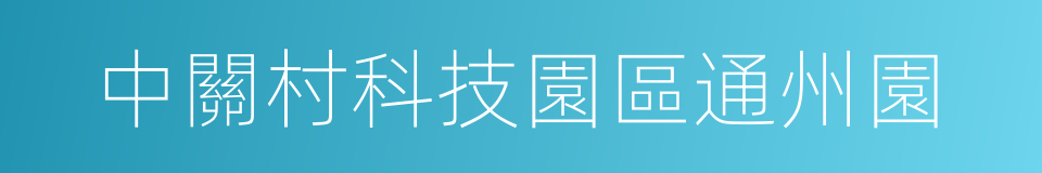 中關村科技園區通州園的同義詞