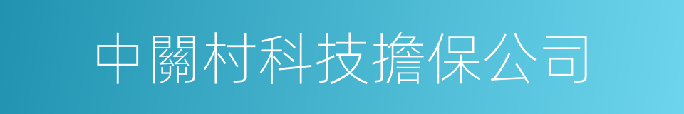 中關村科技擔保公司的同義詞