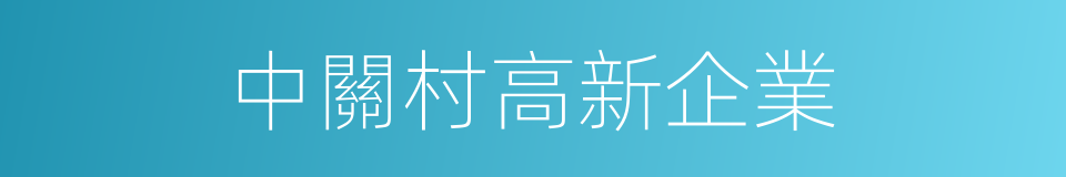 中關村高新企業的同義詞