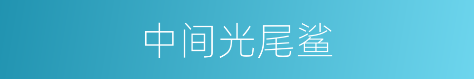 中间光尾鲨的同义词