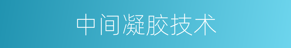 中间凝胶技术的同义词