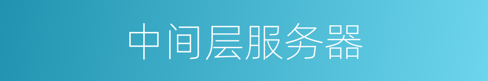 中间层服务器的同义词