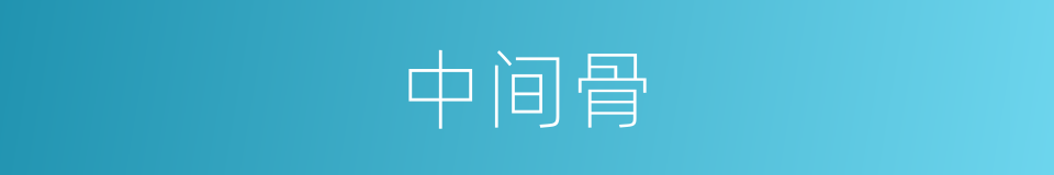中间骨的同义词