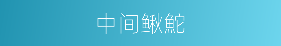 中间鳅鮀的同义词