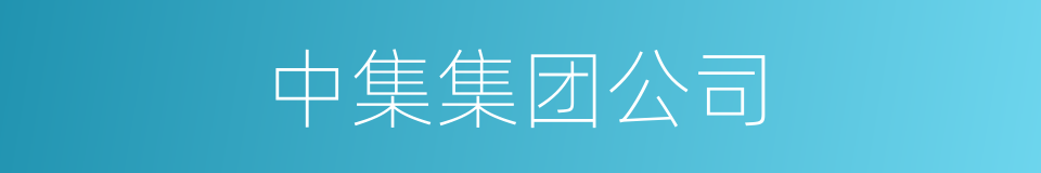 中集集团公司的同义词