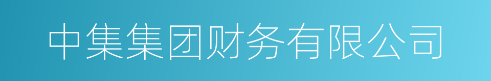 中集集团财务有限公司的同义词