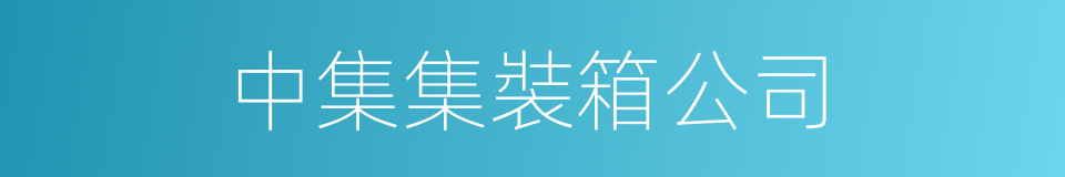 中集集裝箱公司的同義詞