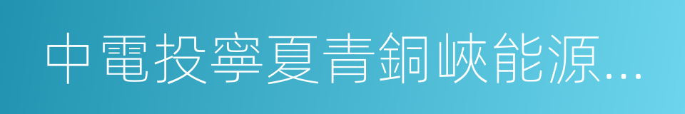 中電投寧夏青銅峽能源鋁業集團有限公司的同義詞