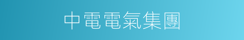 中電電氣集團的同義詞