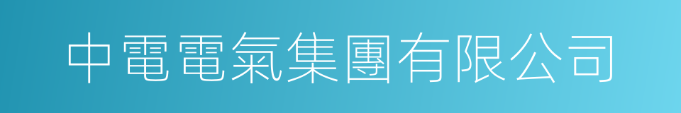 中電電氣集團有限公司的同義詞
