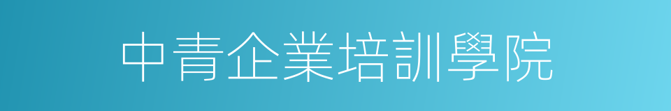 中青企業培訓學院的同義詞