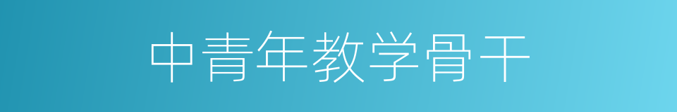 中青年教学骨干的同义词