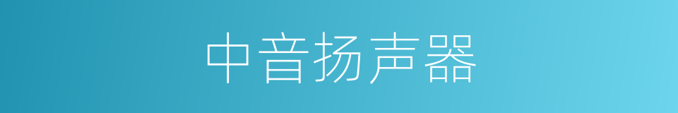 中音扬声器的同义词