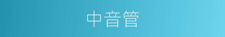 中音管的同义词