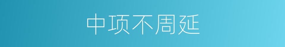 中项不周延的同义词