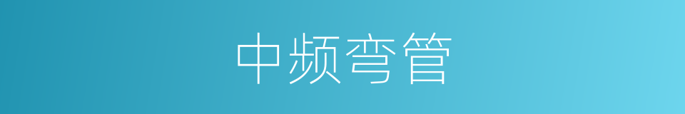 中频弯管的同义词