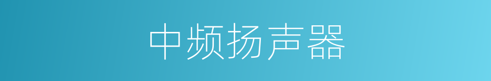 中频扬声器的同义词